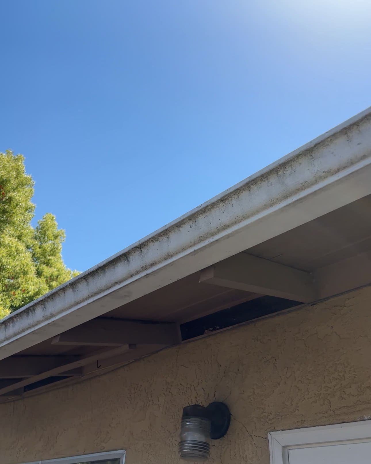 Gutter and fascia streaked with grime and mildew before cleaning