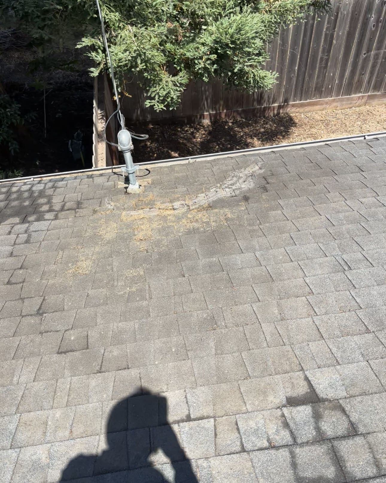 Same roof section fully cleared of debris after cleaning, shingles visible again